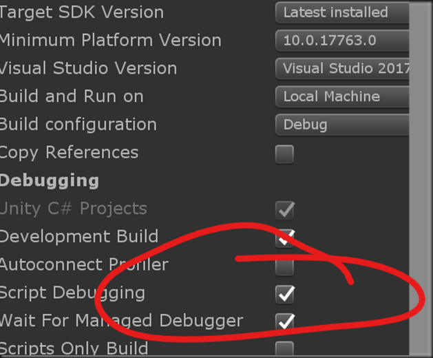 managed debugger