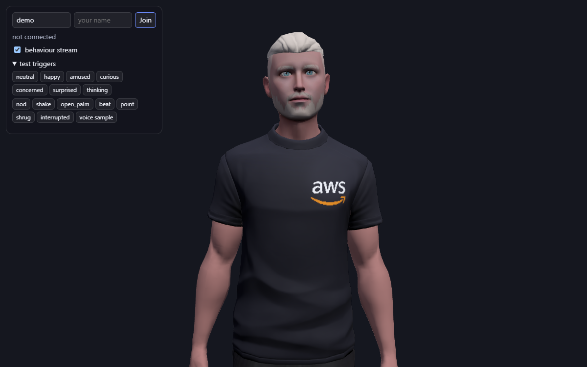 The web client before joining
