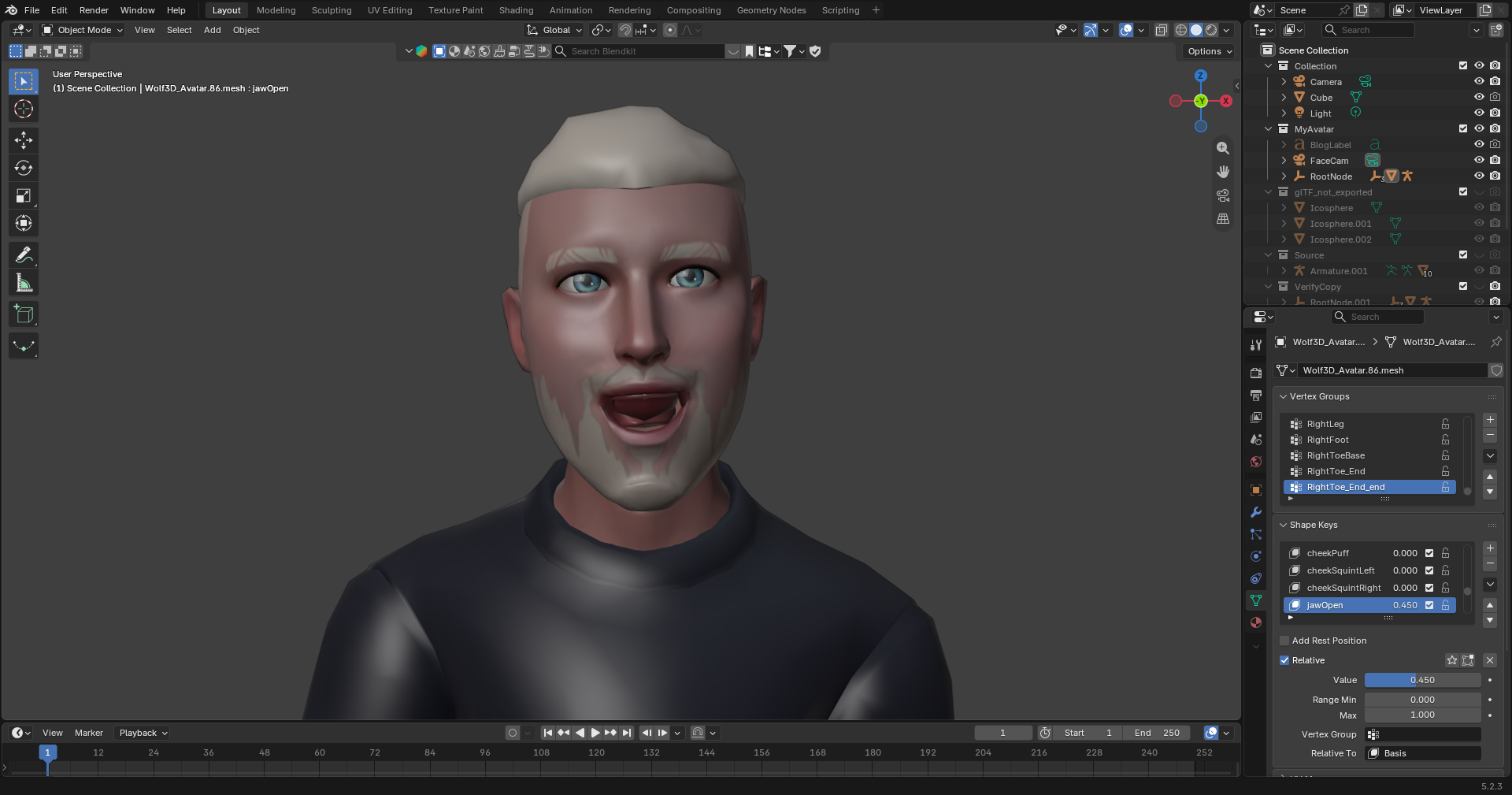 The transferred shape keys in Blender