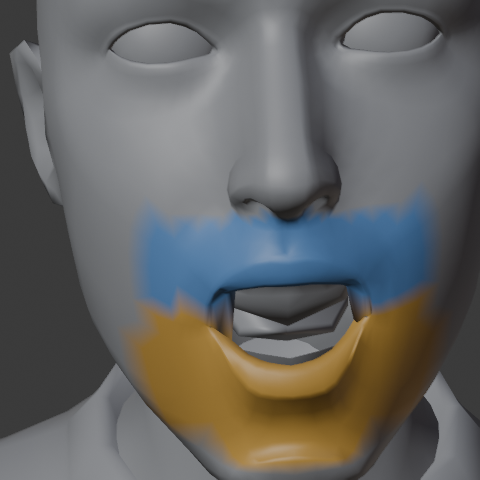 Upper lip region (blue) and the jaw region (orange)