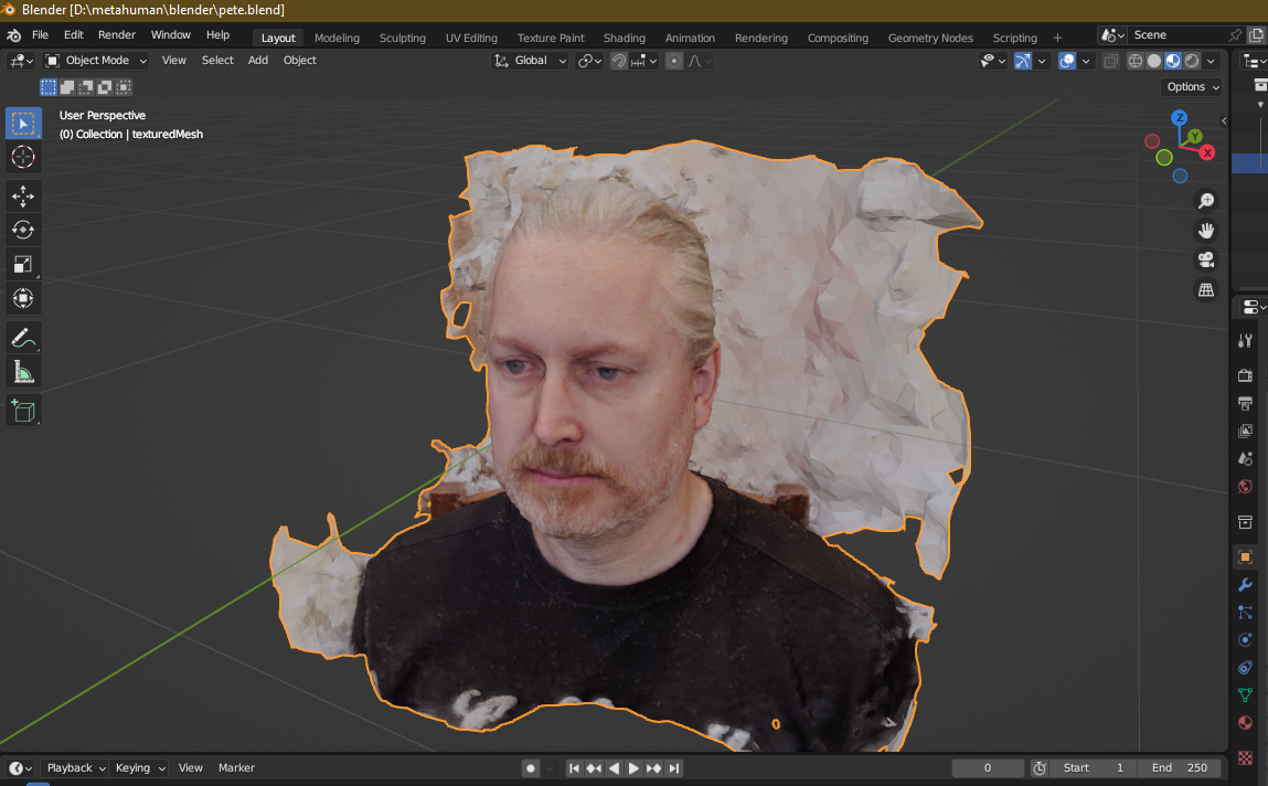 The scanned mesh in Blender before cropping